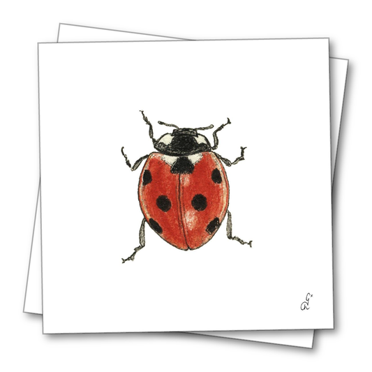 Marienkäfer Papierservietten