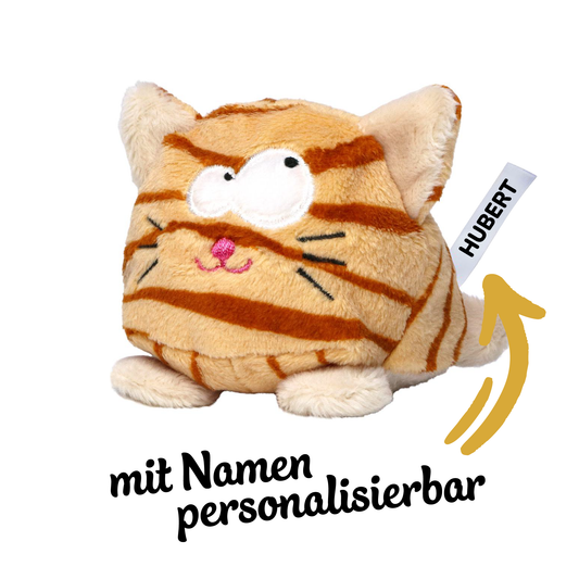 Bildschirmcleaner Katze